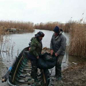 155 kilograme de peşte fără documente legale, confiscate de poliţiştii de frontieră tulceni