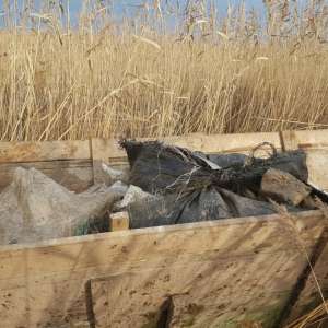 190 kilograme de peşte fără documente legale, confiscate de poliţiştii de frontieră tulceni