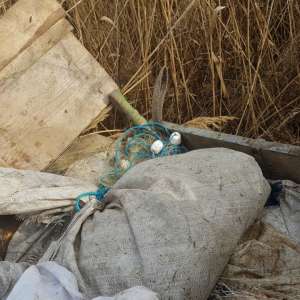 190 kilograme de peşte fără documente legale, confiscate de poliţiştii de frontieră tulceni