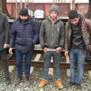 Bărbaţi ascunşi sub autoturismele de pe platforma unui tren internaţional, depistaţi la frontieră
