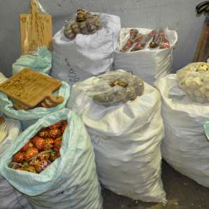 Mii de obiecte de artizanat fără documente, confiscate de polițiștii de frontieră