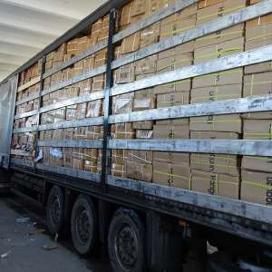 Un camion încărcat cu încălţăminte contrafăcută, a cărei valoare, dacă ar fi fost comercializată, depăşeşte 2 milioane de lei, depistat la P.T.F. Giurgiu