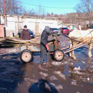 Aproximativ 400 kg material lemnos, confiscat de poliţiştii de frontieră de la S.P.F. Băneasa