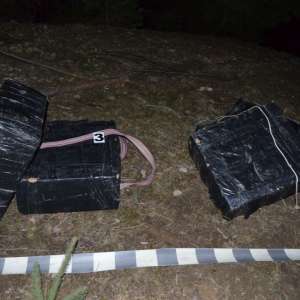 Peste 13.000 de pachete de ţigări de contrabandă, confiscate la frontiera de nord