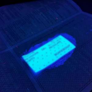 Documente false, descoperite la P.T.F. Sculeni