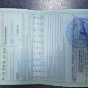 Documente false, descoperite la P.T.F. Sculeni