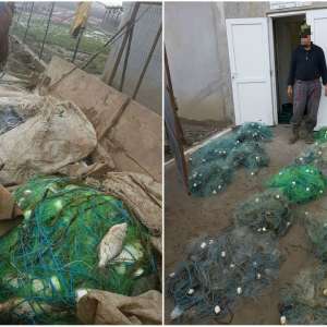 Peste 1.800 m plase de pescuit și 510 kg de peşte fără documente legale,  confiscate de poliţiştii de frontieră tulceni
