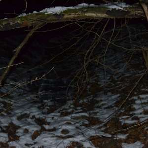 Aproximativ 4.000 pachete țigări confiscate la frontiera de nord