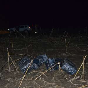 Peste 39.000 pachete cu ţigări de contrabandă, confiscate la frontiera de nord