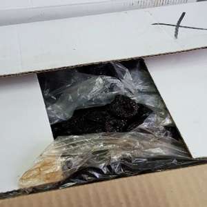 Sute de kilograme de prune uscate confiscate de poliţiştii de frontieră  