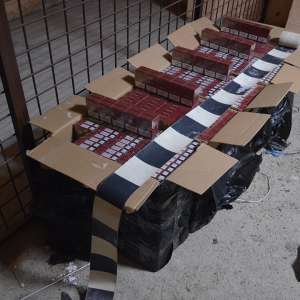 7.300 pachete țigări confiscate la frontiera de nord