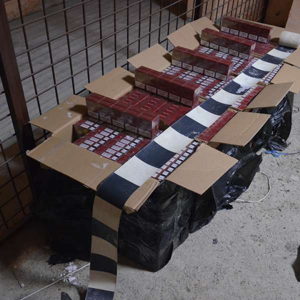 7.300 pachete țigări confiscate la frontiera de nord