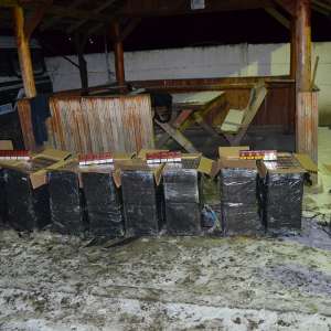 17.700 pachete țigări confiscate la frontiera de nord