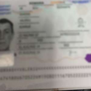 900 de euro preţul unui paşaport fals