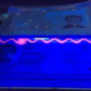 900 de euro preţul unui paşaport fals