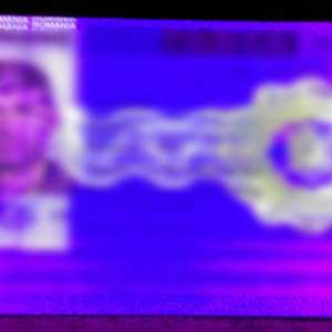 Carte de identitate falsă ascunsă într-un pantof, descoperită la controlul de frontieră