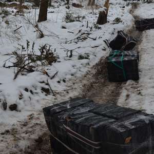 Ţigări de contrabandă confiscate la frontiera de nord