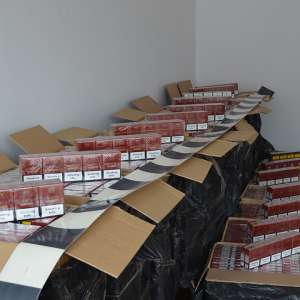 Ţigări de contrabandă confiscate la frontiera de nord