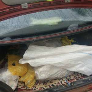 Dosar penal pentru un transport de peşte fără documente legale