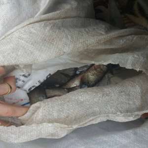 Dosar penal pentru un transport de peşte fără documente legale