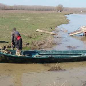Brăileni cercetaţi pentru braconaj piscicol