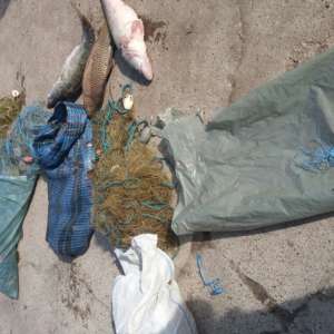 Brăileni cercetaţi pentru braconaj piscicol