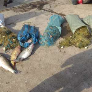 Brăileni cercetaţi pentru braconaj piscicol