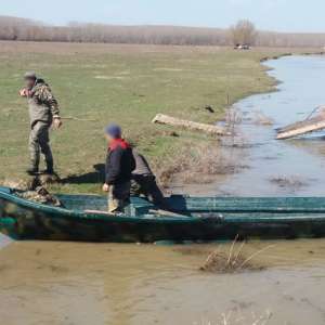 Brăileni cercetaţi pentru braconaj piscicol