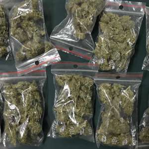 Peste 100 grame de marijuana si 50 grame de hasis, descoperite asupra unor ieşeni