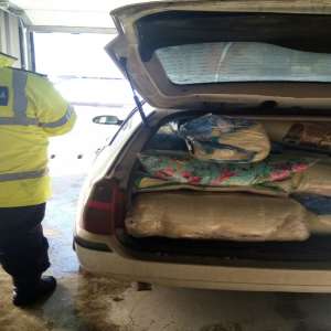 Pilote în valoare de 7500 lei, confiscate la Mihăileni