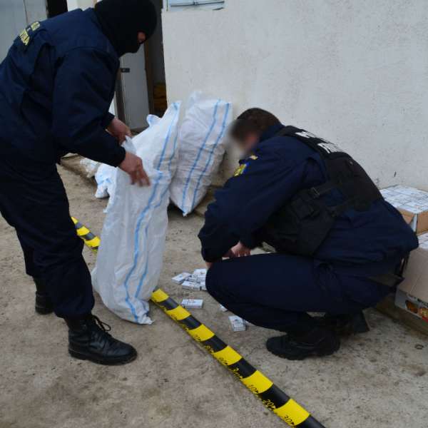 Percheziţii domiciliare la Rădăuți Prut: aproximativ 40.000 ţigarete de contrabandă descoperite
