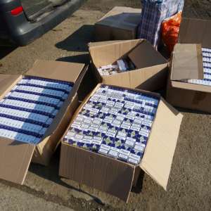 Percheziţii domiciliare la Brăila: aproximativ 100.000 ţigarete de contrabandă descoperite