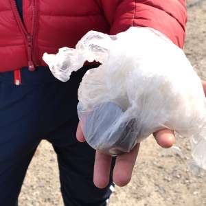 Canabis descoperit la controlul de frontieră