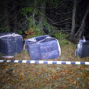 Ţigări şi tutun pentru narghilea confiscate la frontiera de nord a României