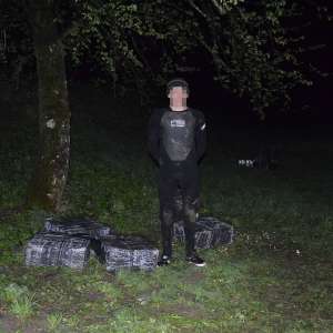 Peste 3.800 pachete țigări confiscate la frontiera de nord