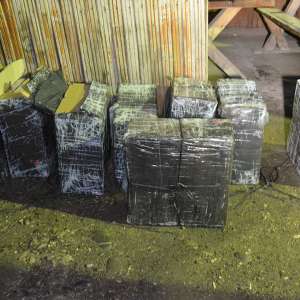 Peste 3.800 pachete țigări confiscate la frontiera de nord