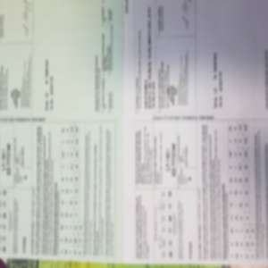 Documente false, descoperite la P.T.F. Sculeni