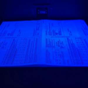 Documente false, descoperite la P.T.F. Sculeni