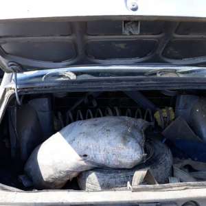Plase tip monofilament, dispozitiv pentru pescuit electric şi peşte fără documente legale, confiscate de poliţiştii de frontieră tulceni