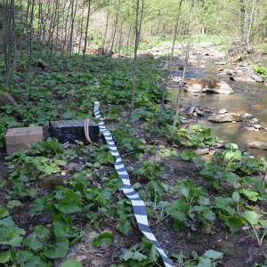 5.000 pachete țigări confiscate la frontiera de nord