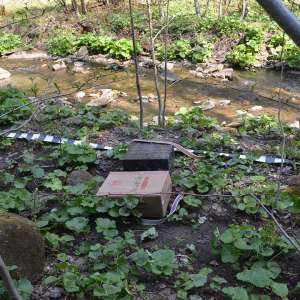 5.000 pachete țigări confiscate la frontiera de nord