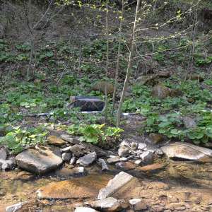 5.000 pachete țigări confiscate la frontiera de nord