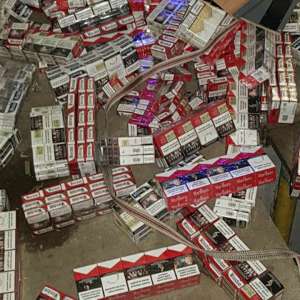 Peste 69.000 de țigarete de contrabandă descoperite cu ajutorul câinelui poliţist