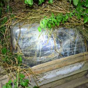 Contrabandă cu căruţa