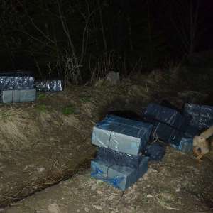 Aproximativ 26.500 pachete țigări confiscate la frontiera de nord