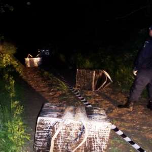 Focuri de armă si 18.000 de pachete cu ţigări de contrabandă confiscate de poliţiştii de frontieră