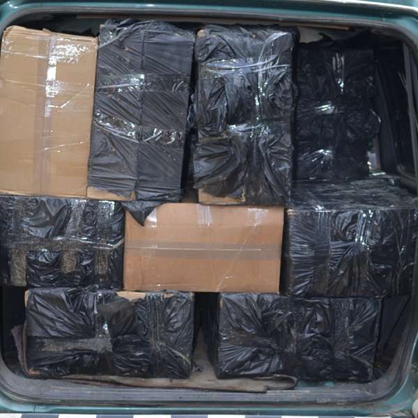 Aproximativ 31.000 pachete cu ţigări de contrabandă, confiscate la frontiera de nord a României