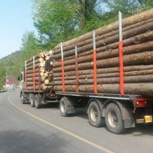 Aproximativ 23 de mc de brad transportaţi fără documente legale, confiscaţi de polițiștii de frontieră