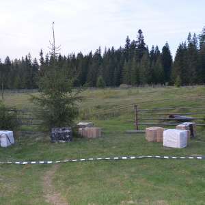 Aproximativ 31.000 de pachete cu țigări, confiscate la frontiera de nord