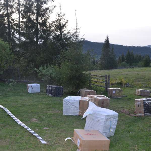 Aproximativ 31.000 de pachete cu țigări, confiscate la frontiera de nord